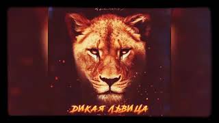 Aslan Kükremesi 🦁 Alex & Rus Lioness Wild Song 🦁 Лучшие русские песни #WildSong