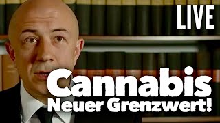 Cannabis und Führerschein ab dem 1.4. - Alle Antworten - LIVE image