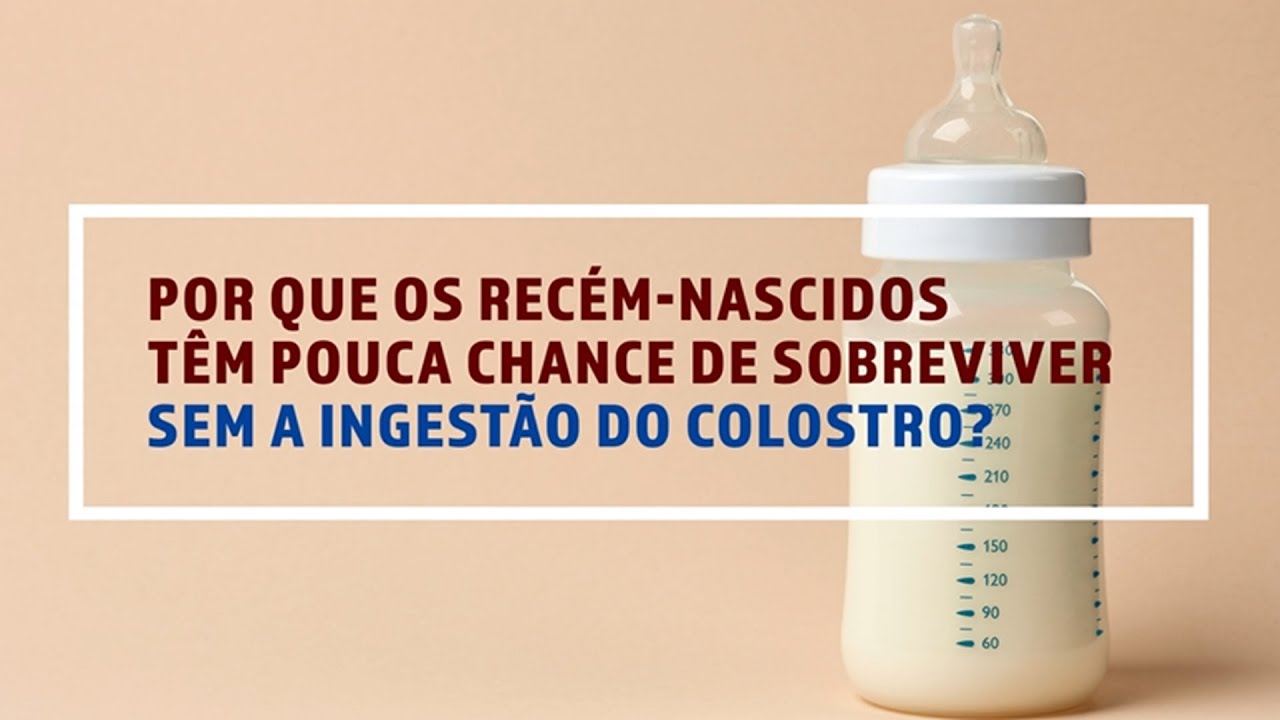 Colostro e sua importância para o recém-nascido - YouTube