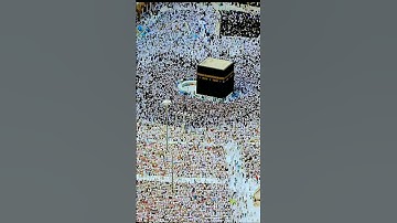 سورة ابراهيم      الشيخ محمد صديق المنشاوي