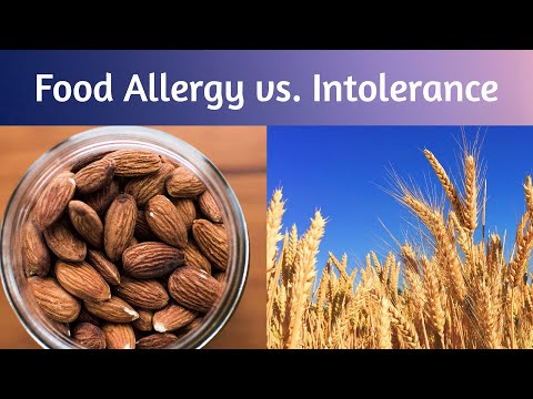 What's the Difference Between a Food Allergy and a Food Intolerance Schreiber Allergy