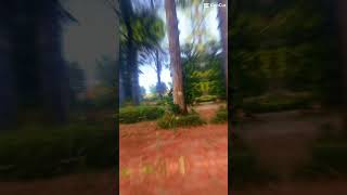 Copy B1De1D28 1287 4524 B195 27368Db77Eaa