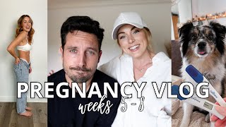 Pregnancy Vlog  Wk 5 8 | Bump Update, Scheduling Doctors Appts & Thanksgiving!