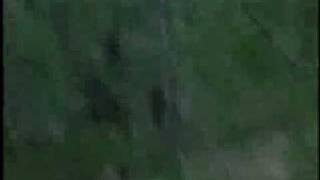 Lost Tapes - Close Encounter with Bigfoot...