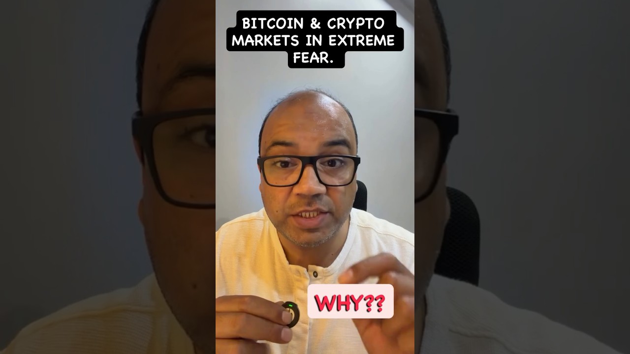Bitcoin & Crypto Market In Extreme Fear, WHY?