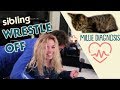 IT'S THE SIBLING WRESTLE OFF + MILLIE THE KITTY'S DIAGNOSIS (FIP)