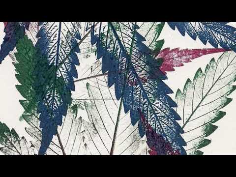Kastro Zizo & Zaimina - Chupa Chupa