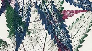 Download Lagu Kastro Zizo \u0026 Zaimina - Chupa Chupa MP3