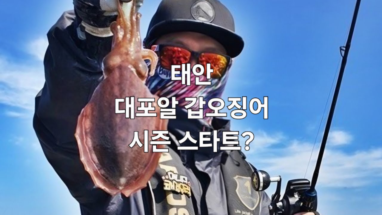 싸낚_쾌걸우럭 라이브 스트리밍 중