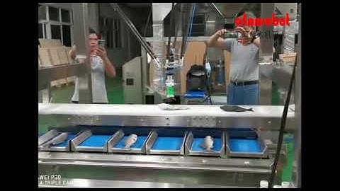 Sorting(pick and place) for Frozen Fish based on Weight by Delta(spider) Robot