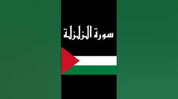 سورة الزلزلة كاملة بصوت القارئ شريف مصطفى