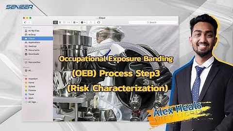 Senieer | Occupational Exposure Banding (OEB) Step Process Part 3 (Risk Characterization)