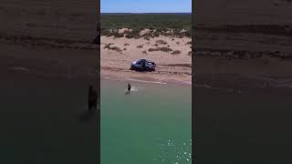 Beach life Exmouth  WA #Ningaloo #morningroutine