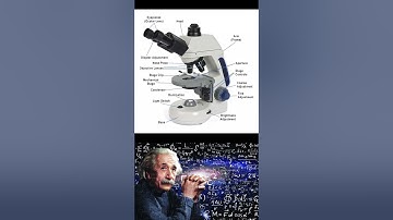 parts of a compound microscope 🔬 #shorts #physics #physicsexperiment #viral #facts