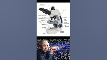 parts of a compound microscope 🔬 #shorts #physics #physicsexperiment #viral #facts