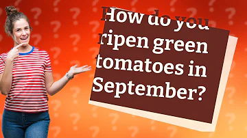 Jak dozrávají rajčata v září?