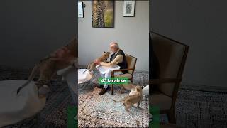 Pm Modi Inaugurated Worlds Largest Animal Rescue Facility Vantara