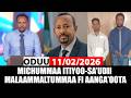 Oduu Kamisa 12 02 2026 Daaw Annaa Ministara Sa Udii Masr Fi Somaaliyaa A3multimediastudio