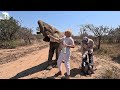 Baby Elephant Khanyisa Drinks Her Milk Bottles 🍼 with Adine