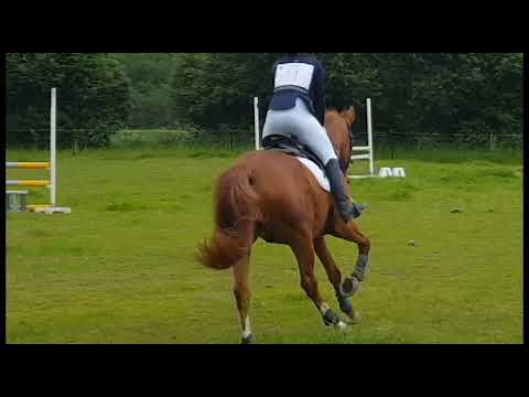 Cross Country - Showjumping @hesteline