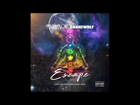 Toasty - Ric Flair Drip feat. Snakewolf (Offset & Metro Boomin Remix)