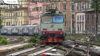 Tigrotti isolati in transito