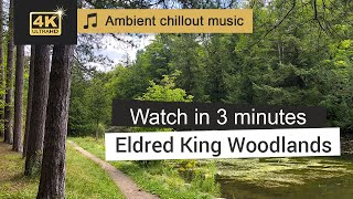 Hiking Adventurer Exploring Eldred King Woodlands - Best Trails To Hike In Canada Ambient Music