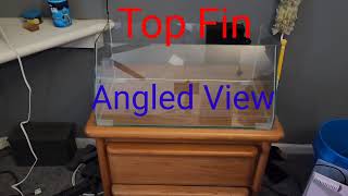 Setting Up The Top Fin Angled View Aquarium