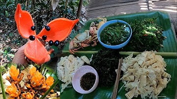 #499. Sống dài ngày trong rừng, gần ngày trở về