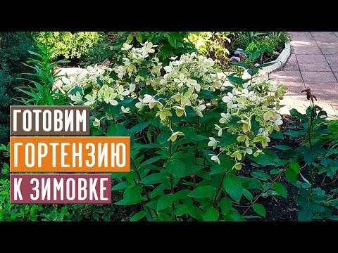 ОБЯЗАТЕЛЬНО СДЕЛАЙТЕ ЭТО