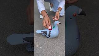 Pigeon Birds with Rc Santa Claus Sleigh And Reindeer gift 🎁
