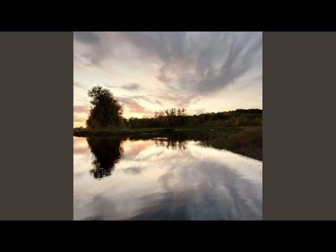 БЕДУИН, Чесовский - Березка