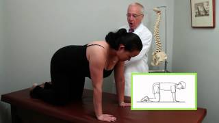 Ending Back Pain with Dr. Norman Marcus