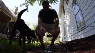 udi R/C U841 Mini Quadcopter w HD Camera screenshot 1