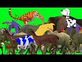 Animal crossing green screen! Cartoon funny ! How to make animal cartoon video in mobile! #cartoon