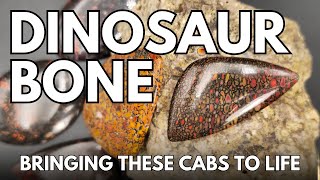 Real Dinosaur Bone - Bringing These Cabs Back To Life