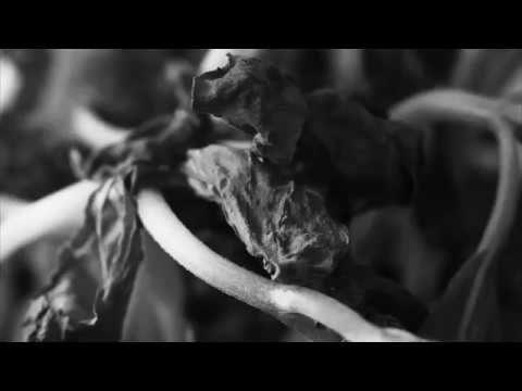 YouTube에서 naderi - Uncertain (Official Music Video) 보기 YouTube에서 naderi - Uncertain (Official Music Video) 보기