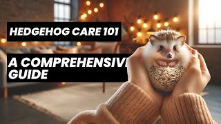Hedgehog Care 101  A Comprehensive Guide