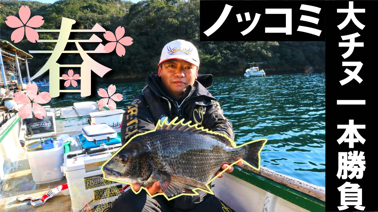 ノッコミシーズン間近！大チヌ狙いの筏、かかり釣り！ - YouTube