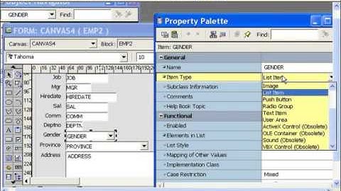 Oracle forms developing -8