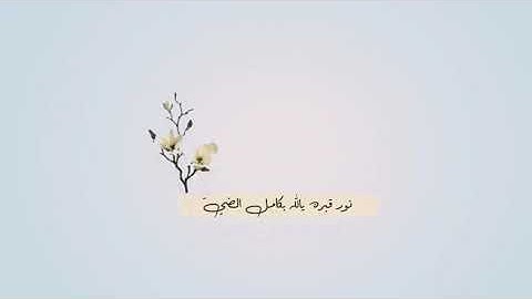 هزاع البلوشي - تلاوة خاشعه ارح قلبك 🌱