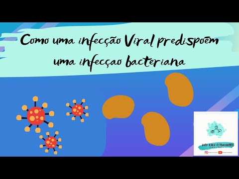 Vídeo: Como evitar enjôo ao ler no carro: 11 etapas