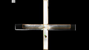 What is Transfer Latency in Elevated Plus Maze