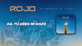 Rojo - Tu Eres Mi Gozo (Visualizer)