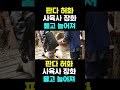 [PandaTV] 중국 인기 판다 허화가 사육사의 발을 잡다 #판다#Panda#허화