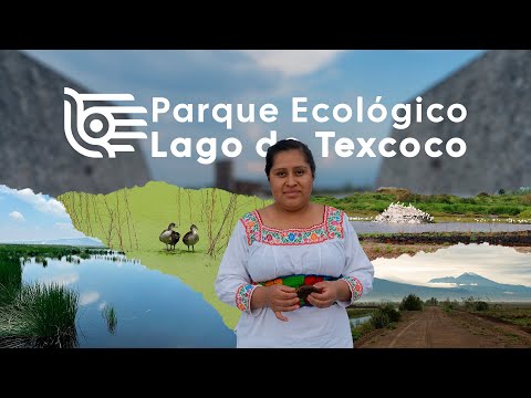 Parque Ecológico Lago de Texcoco: naturaleza que renace
