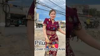 **pilu**panbers**cover by-andy-arek**