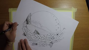 How to draw a brown trout time lapse