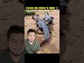 Murgha vs Crocodiles | Crocodile Attack Viral Video | Murgha Aakhri Lamhe Tak Bachne Ki Koshish Krta