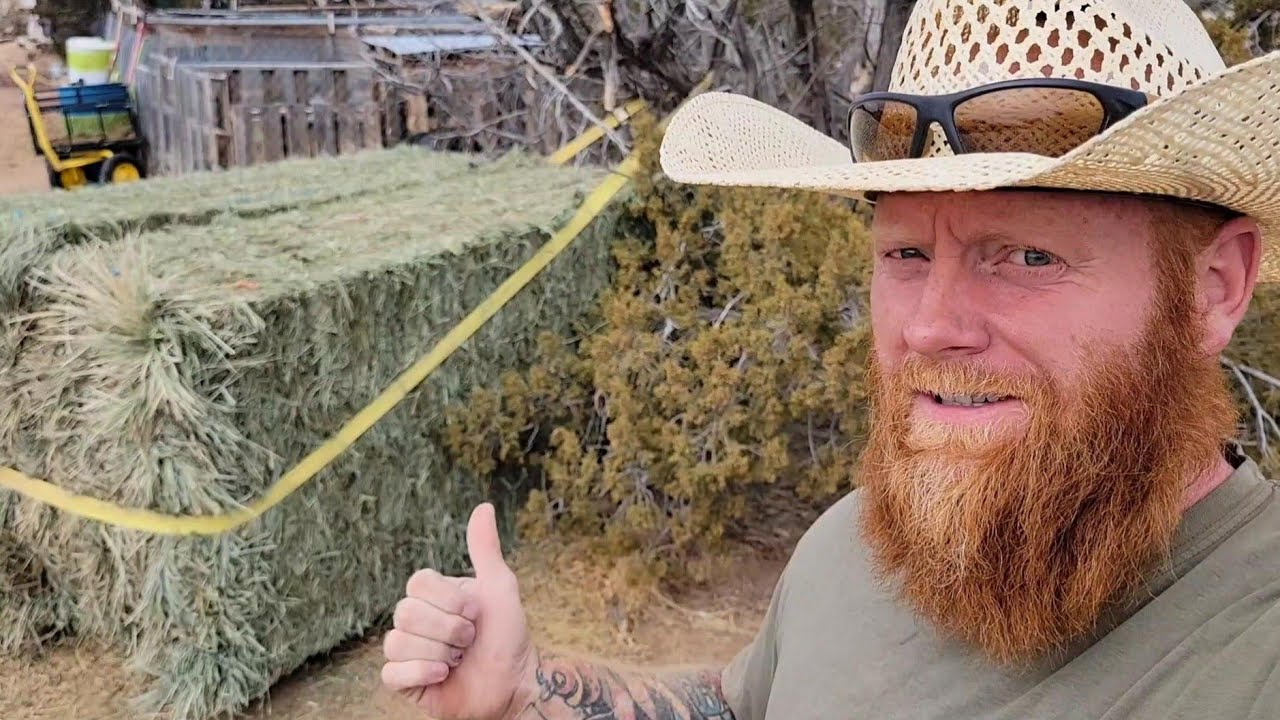 Unload Large BALES Of HAY Without A Tractor YouTube unload-large-bales-of-hay-without-a-tractor-youtube